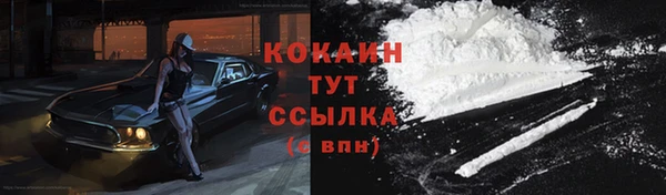 гашик Белокуриха