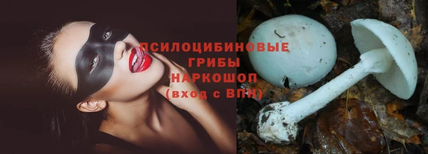 гашик Белокуриха