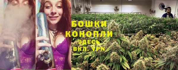 гашик Белокуриха