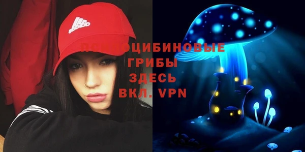 дмт Беломорск