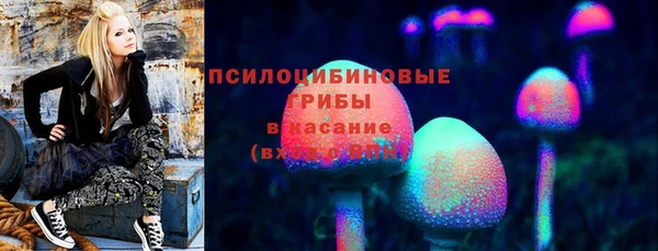 дмт Беломорск