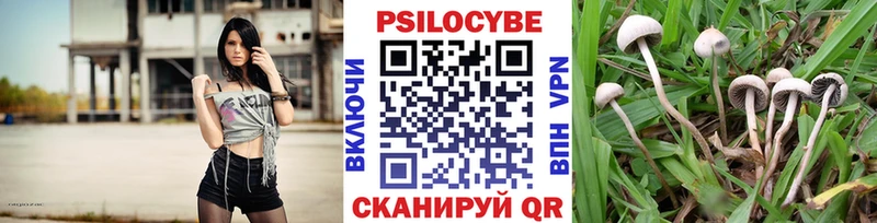kraken   Горнозаводск  Псилоцибиновые грибы MAGIC MUSHROOMS 